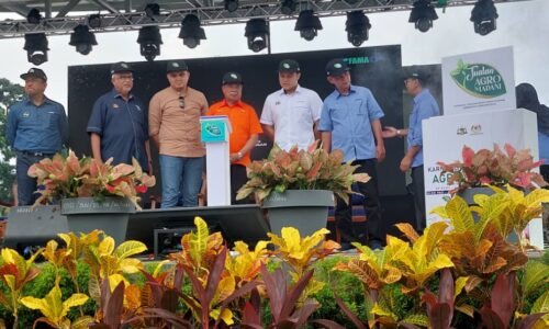 Program skala besar bantu promosi TMM2024