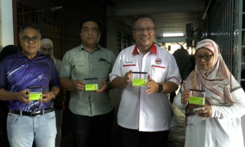 Melaka sasar lepaskan 250,000 nyamuk Berwolbachia hingga Januari 2024