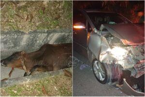 Picsart 23 10 14 12 06 31 022