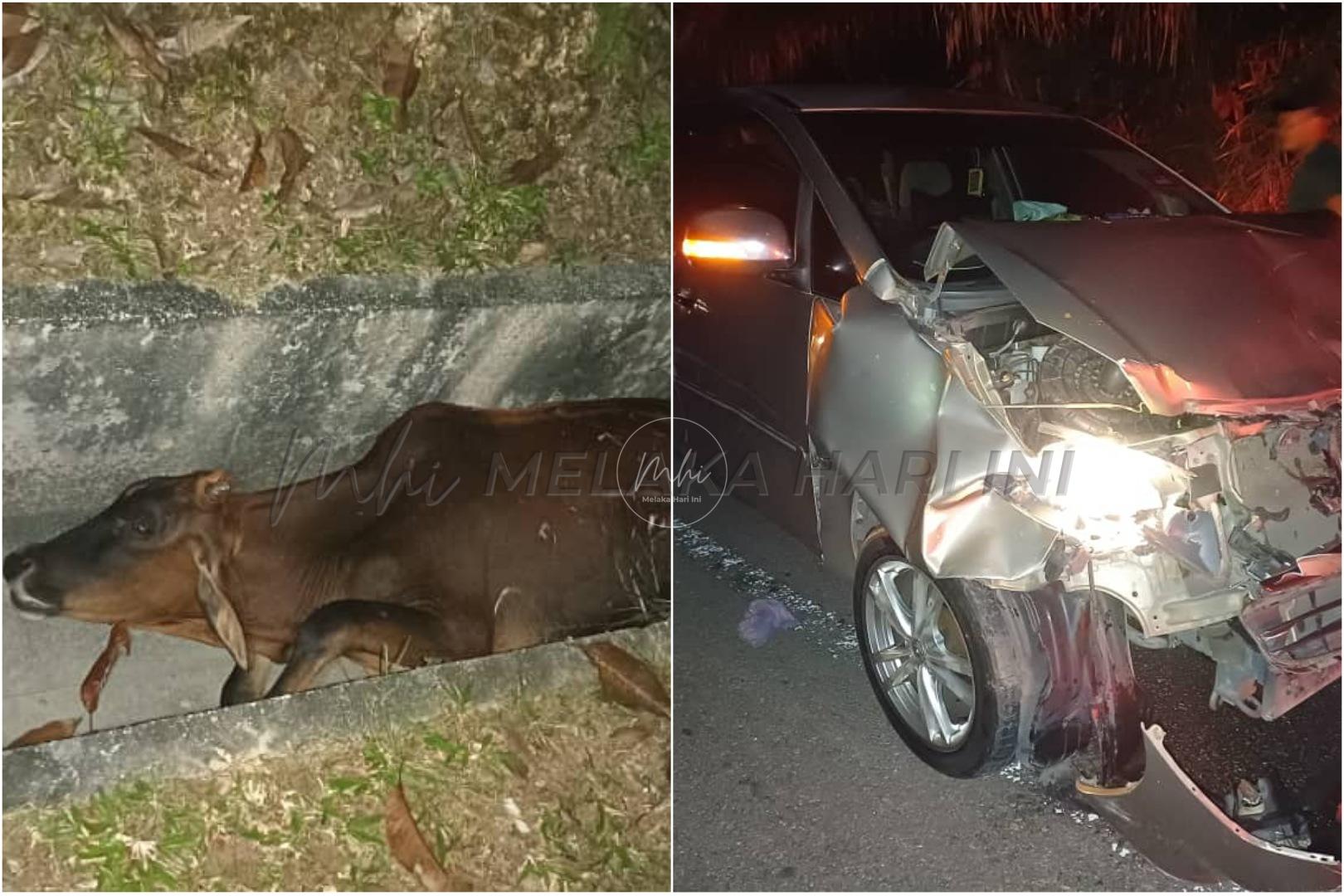 Picsart 23 10 14 12 06 31 022