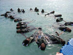 Whatsapp image 2023 10 10 at 18.02.01 92e2a29a