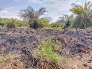 Whatsapp image 2023 10 23 at 12.24.17 554550dd