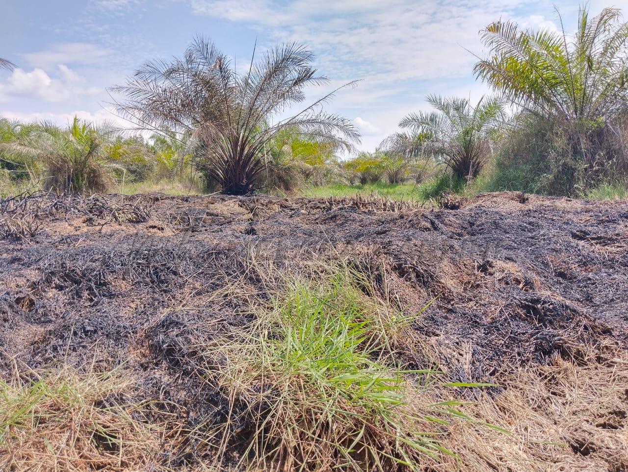 Whatsapp image 2023 10 23 at 12.24.17 554550dd