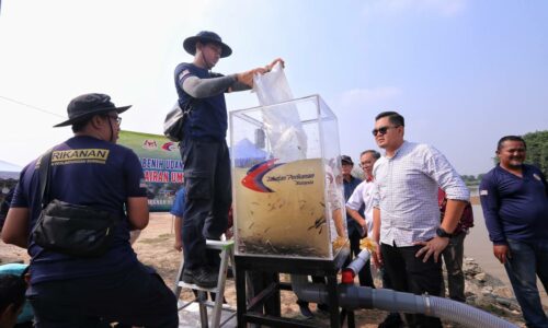 Kampung Gangsa lubuk baung, udang galah