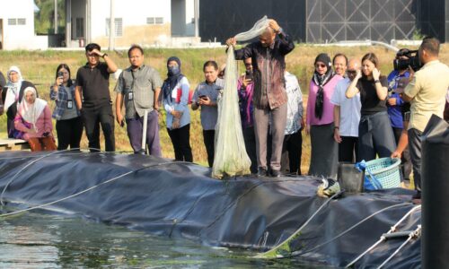 Udang kayangan, harga rahmah – Exco