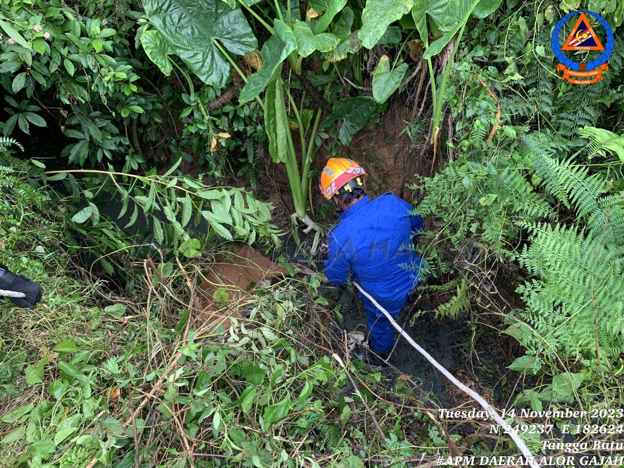 Whatsapp Image 2023 11 15 At 20.17.52