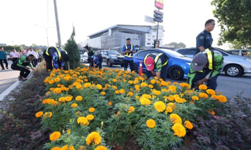 Bunga ‘annual’ ceriakan landskap setiap bulan – MBMB