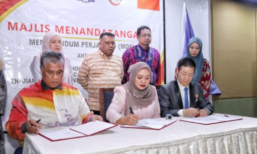 Pelaburan aeroangkasa di Telok Gong