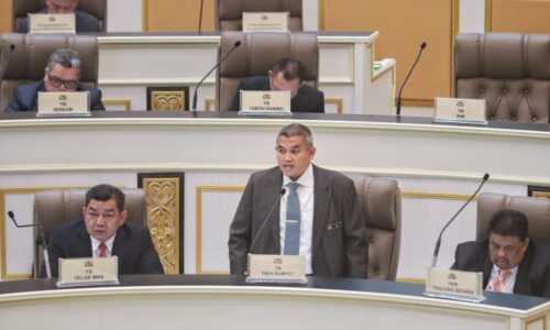 Jangan lepaskan anjing peliharaan di kawasan awam – Exco
