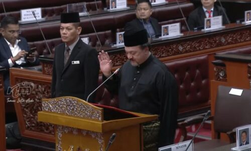 Amir Hamzah, Zulkifli angkat sumpah Ahli Dewan Negara