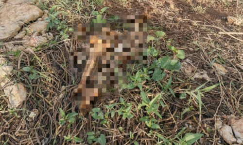 Rangka manusia ditemui di tebing Sungai Malim