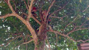 Whatsapp Image 2023 12 25 At 1.50.50 Pm