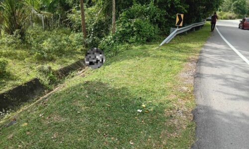 Mayat tanpa kepala, kaki dan tangan ditemui dalam longkang