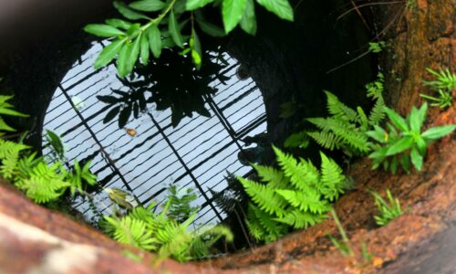 Perigi lambang cinta raja