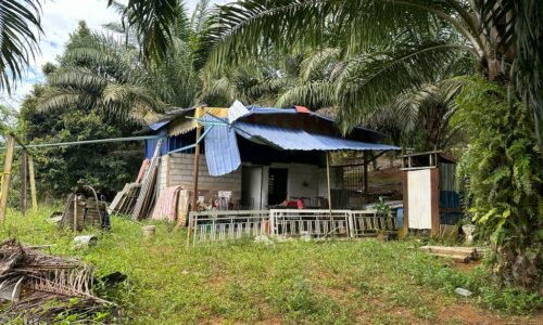 Tak tahan dimaki, pekerja ladang tukul kepala majikan sampai mati