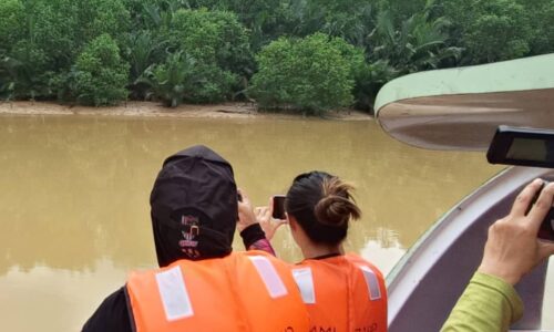 Buaya berjemur tarikan Eco-Cruise Sungai Linggi