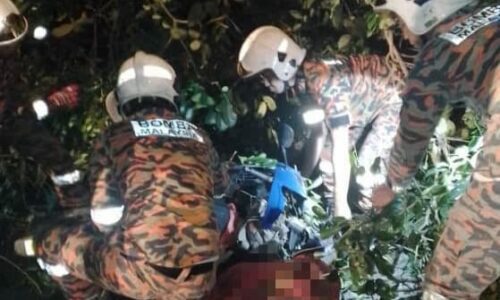 Penunggang motosikal cedera dihempap pokok