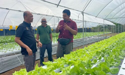 Pusat pengumpulan hasil pertanian di Asahan