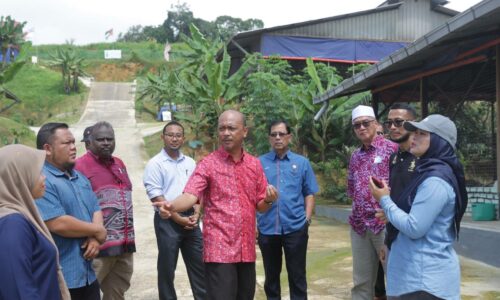 Enam kampung selesai ditransformasi menjadi Kampung Digital