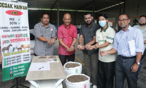 Usaha tanah terbiar di Asahan