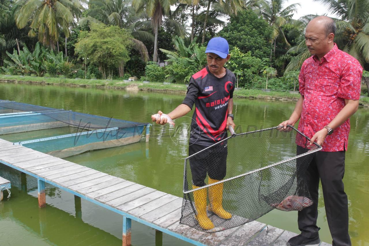 Photo 2024 01 11 18 11 54