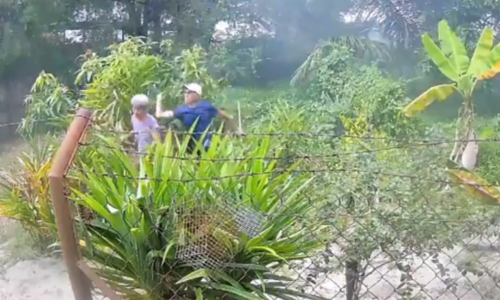 Lelaki pukul warga emas berhampiran tapak ‘glamping’ ditahan