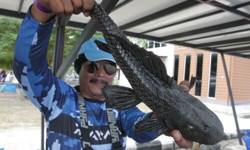 Joran nyaris dilarikan ‘bandaraya’