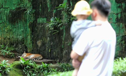 Lebih 7,000 pengunjung dijangka serbu Zoo Melaka, 20 Feb ini