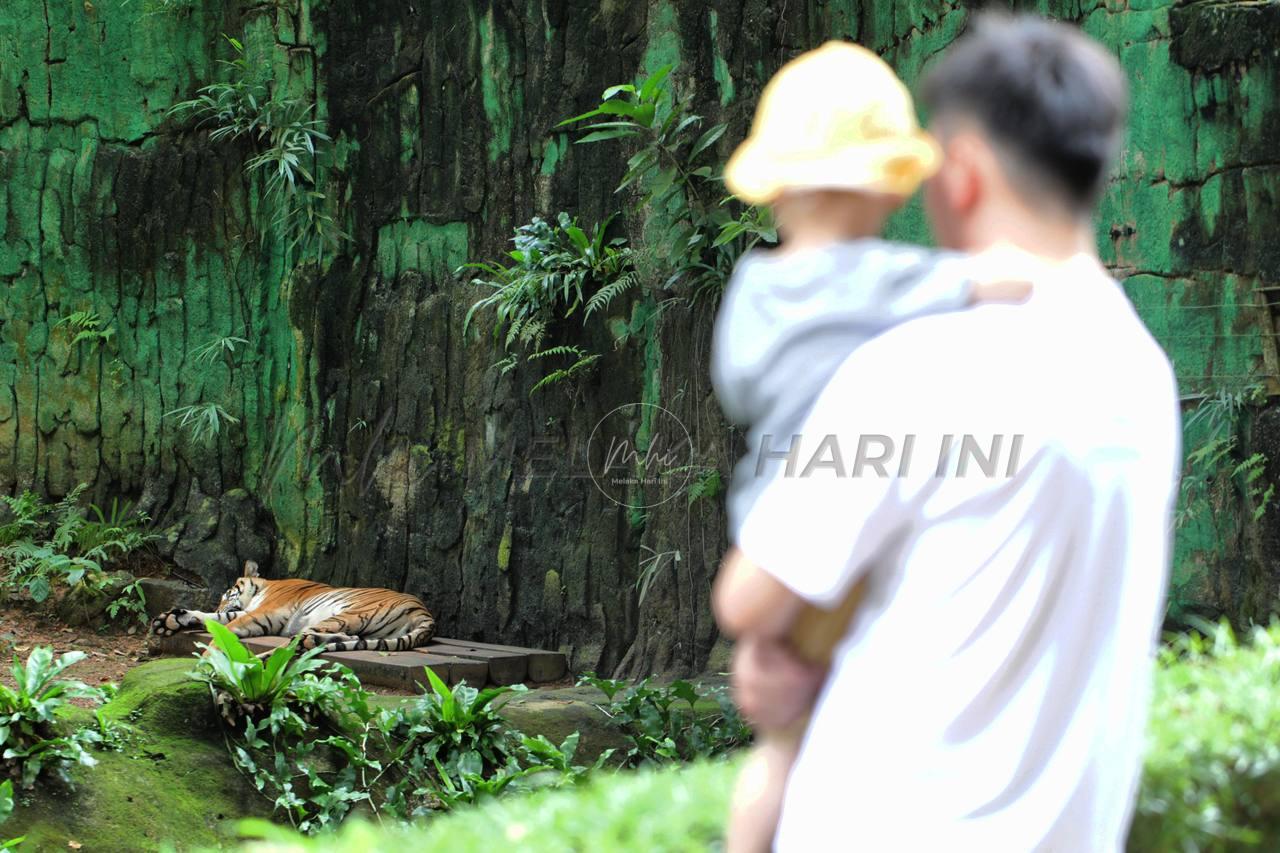 Photo 2024 01 08 18 53 48