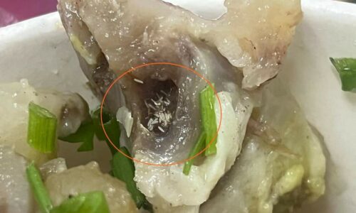 JKN Melaka ambil sampel ‘sup daging telur lalat’