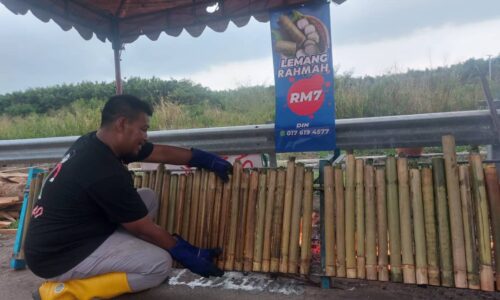 Kongsi rezeki jual ‘Lemang Rahmah’ RM7