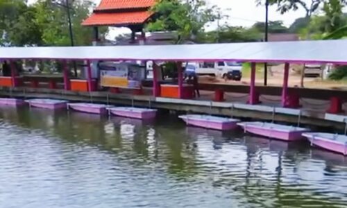 Bot ‘pink’ tarikan ‘Floating Market’