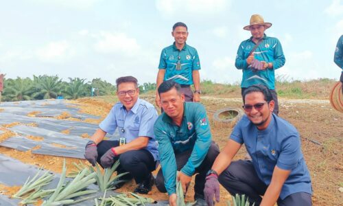 Pusat Koreksional Jasin bantu tingkat pengeluaran nanas