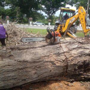 Whatsapp Image 2024 05 16 At 10.22.20 Am