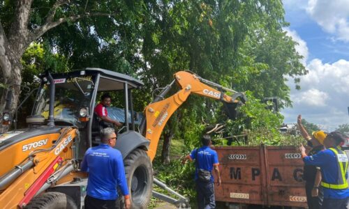 MPAG tebang, cantas 142 pokok berbahaya