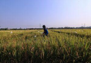 Photo1695790213 (3)