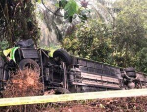 448042113 1185529552573282 4206399704314138604 N