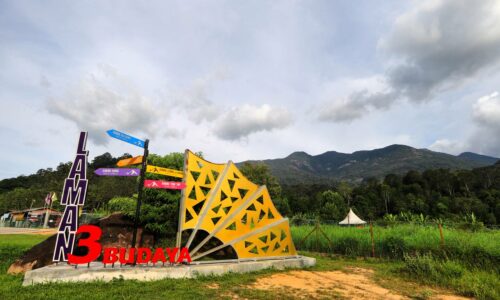 Terapi minda di Laman Tiga Budaya