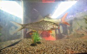 Img 20240622 191424 540