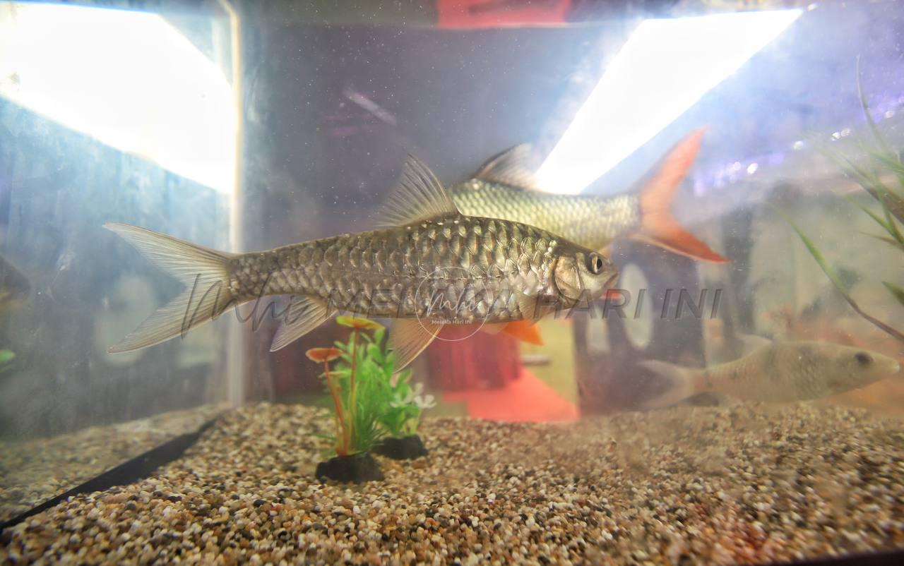 Img 20240622 191424 540