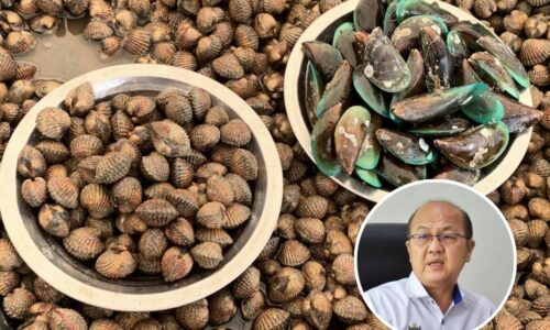 Lelaki disyaki keracunan selepas makan kerang-kerangan