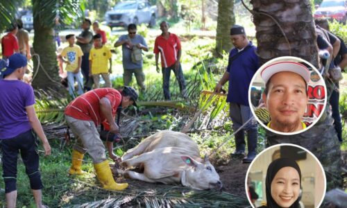 Erti pengorbanan seorang mualaf