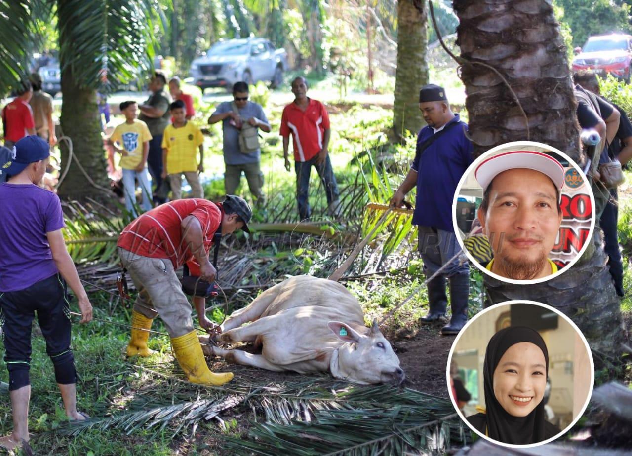 Whatsapp Image 2024 06 18 At 17.03.27