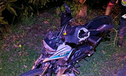 Remaja langgar lembu ‘ditidurkan’