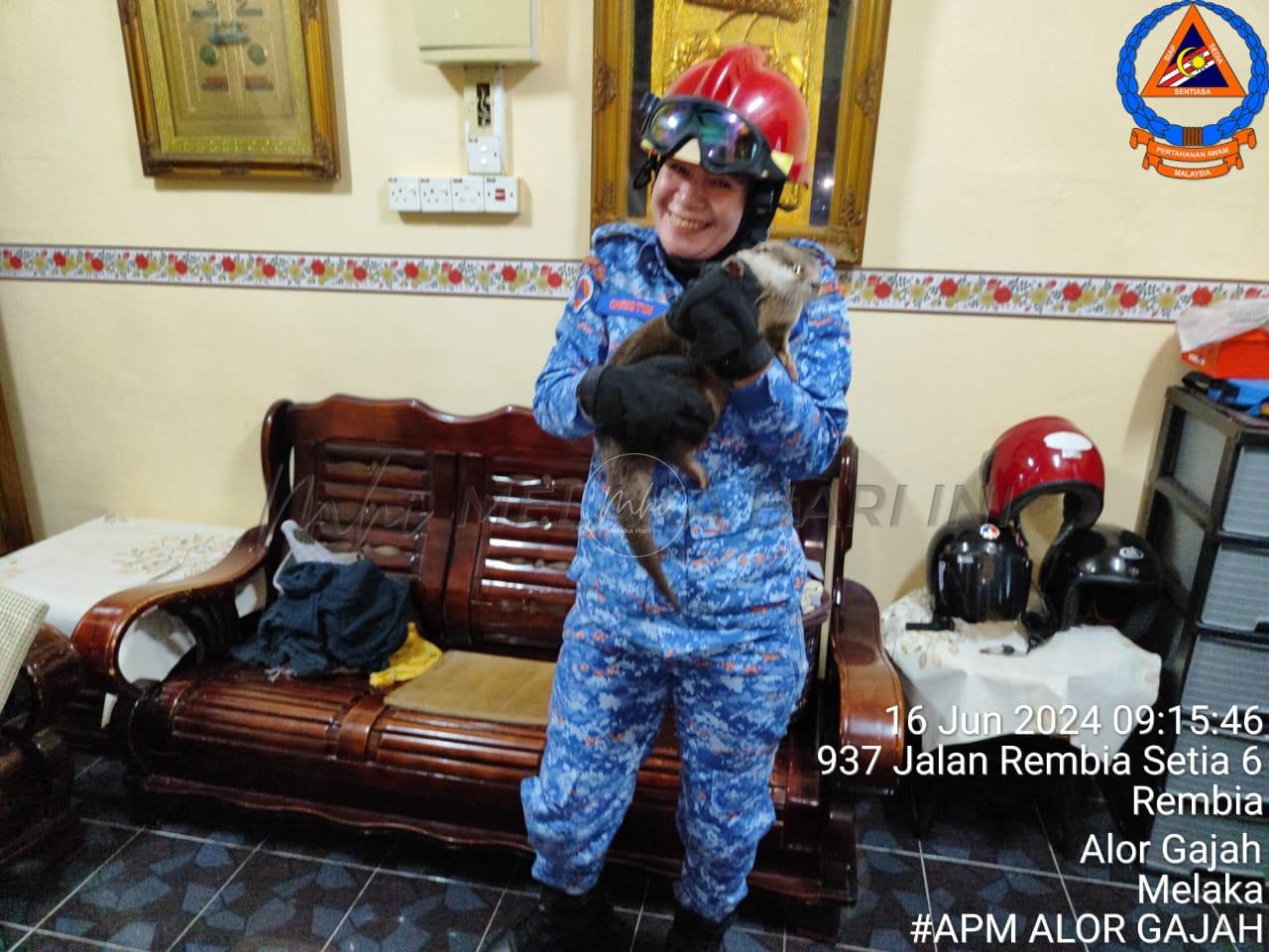 Whatsapp Image 2024 06 21 At 6.28.18 Pm (1)