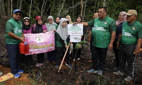 Pelihara koloni kelip-kelip Paya Lebar