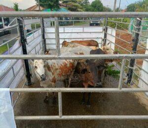 Whatsapp Image 2024 06 26 At 1.43.58 Pm