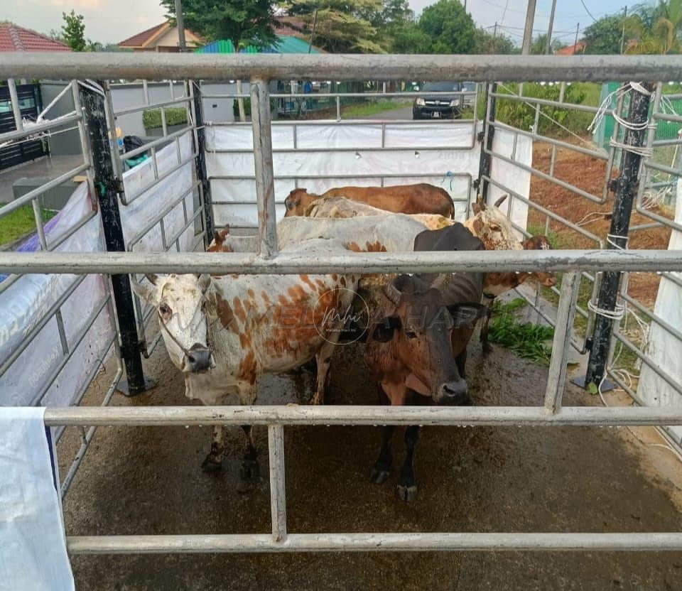 Whatsapp Image 2024 06 26 At 1.43.58 Pm