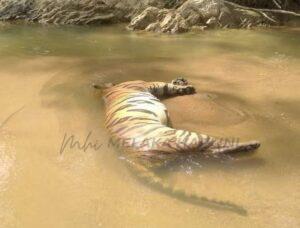 Whatsapp Image 2024 06 29 At 5.57.09 Pm