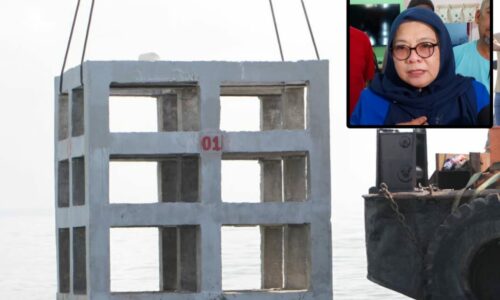 ‘Rumah ikan’ bawa sinar baharu buat nelayan Pantai Kundor